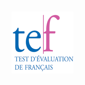 TEF french course online cours de français en ligne préparatoire